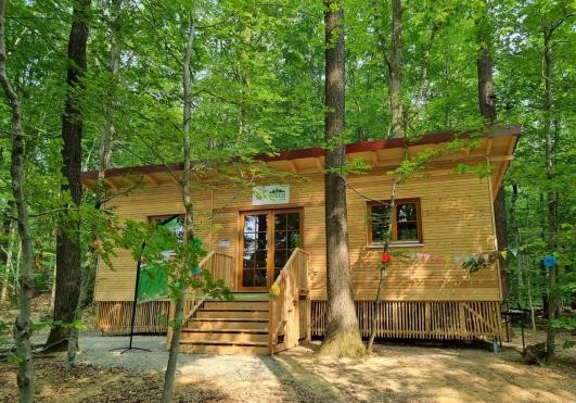 Waldkindergarten SpielWald