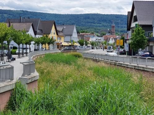 Bachöffnung im Kernort Malsch