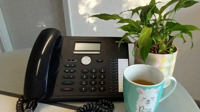 Telefon neben einer Pflanze und einer Tasse Tee