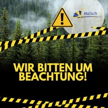 Tannenwald, Beschriftung "Wir bitten um Beachtung", gelb-schwarzes Absperrband